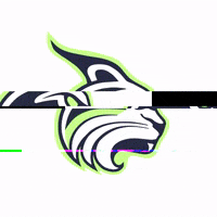 lesleyuniversity college boston lynx cambridge GIF