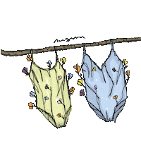 Summer Summertime Sticker