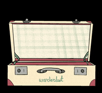 Fly Away Travel GIF