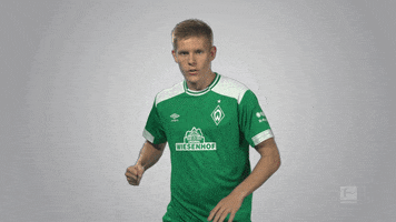 werder bremen cheering GIF by Bundesliga