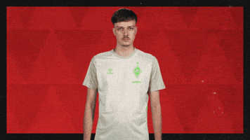 Werder Bremen What GIF by Bundesliga