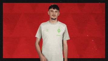 Werder Bremen Football GIF by Bundesliga