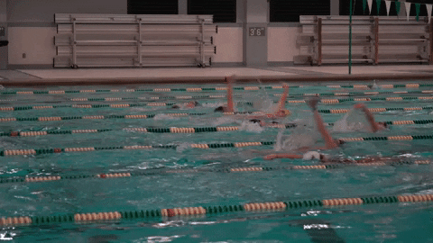 Iwutitans Tgoe GIF by iwusports