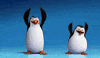 the penguin GIF