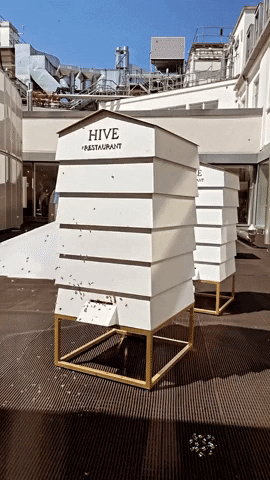 Bee GIF by Hive Selfridges