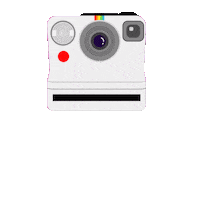 Film Cinema Sticker by TIFF