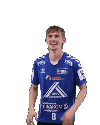 Handball Sticker by HSGSpradow