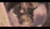 In Dreams Water GIF by Sierra Ferrell