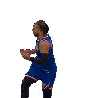 New York Knicks What Sticker