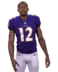 Baltimore Ravens Sticker Sticker by NFL