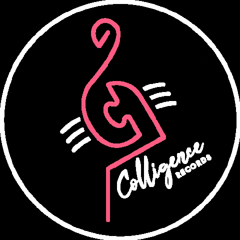 ColligenceRecords giphygifmaker records label colligence GIF