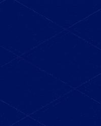 teamzima zima GIF