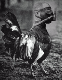 Black And White Art GIF
