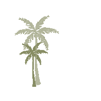 Palm Trees Tree Sticker by The New Journey