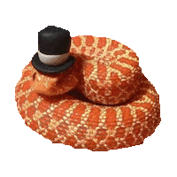 hat STICKER by imoji