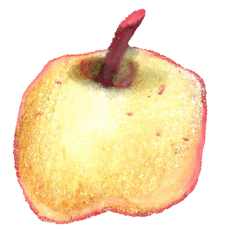 Golden Apple Sticker