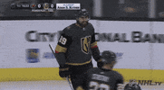 Ice Hockey GIF by NHL