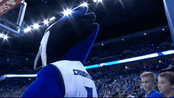 College Basketball Creighton GIF by BIG EAST Conference
