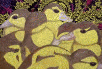 Duck Birds GIF by The LSD Hotel