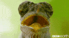 wow omg GIF by Becky Chung
