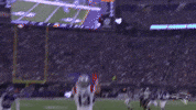 Nfl Football GIF by New England Patriots