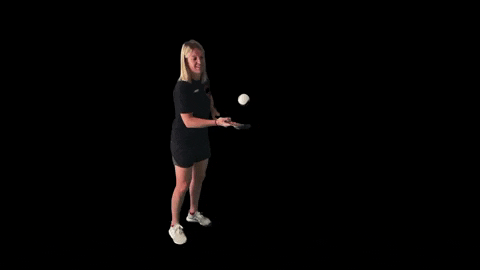 hockeyperformanceacademy giphygifmaker sport ball slow motion GIF