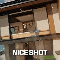 Nice GIF by Call of Duty