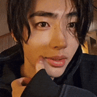 Sunghoon GIF
