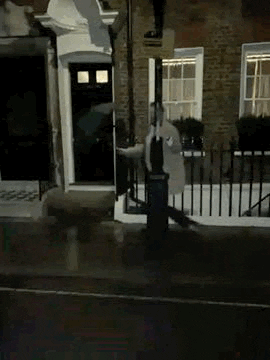 Happy Night Out GIF by AdamSmithInstitute