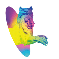 Иркутск Sticker by irkytskaya