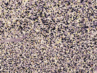 Pixel Render GIF