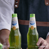 SantaCruz1906 beer bottle cerveza santa cruz GIF