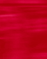 Richaun Holmes Loop GIF by Sacramento Kings