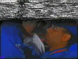 perlasardella glitch vhs coach gif artist GIF