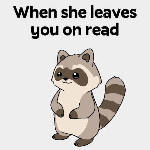 Raccoon Ghosting GIF by Ordinary Frends