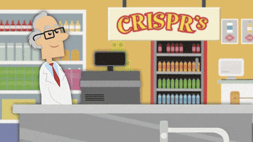 genetics genes GIF by PBS Digital Studios