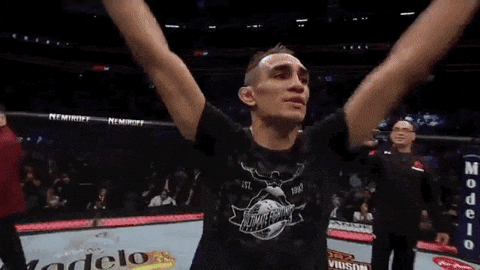 ufc 229 sport GIF by UFC