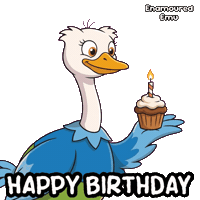 Celebrate Happy Birthday Sticker by VeeFriends