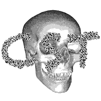 art skull GIF by Pablo Rochat