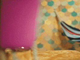 everwhatproductions funny hello lol phone GIF