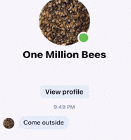 Come Outside Bees GIF