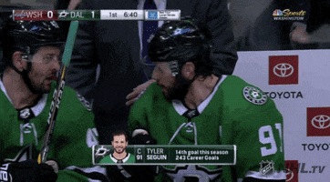 argue ice hockey GIF by NHL