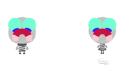 coiso happy cute sad life GIF