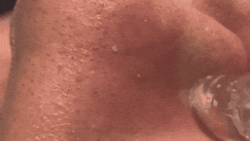 LKPM giphygifmaker GIF