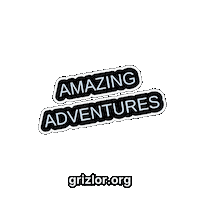 Fun Explore Sticker by grizlor