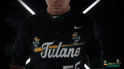 Tulane Rollwave GIF by GreenWave