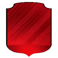 Futbol Equipo Sticker by Mahou