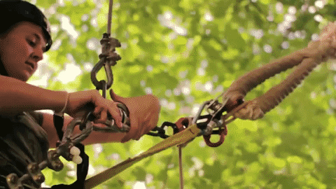 FunForest giphygifmaker GIF