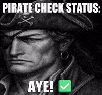 Check Pirate GIF