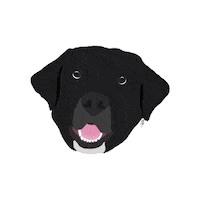 Dog Shadow Sticker